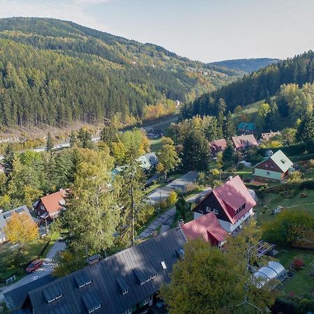 Hotel Penzion Lyzec à Vrchlabí Extérieur photo